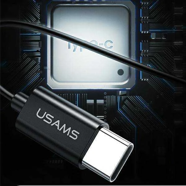 USAMS Stereo Ausinės EP-43 metal USB-C juodos spalvos HSEP4301