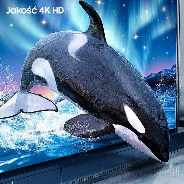 USAMS DisplayPort laido 4K vaizdo demonstravimas