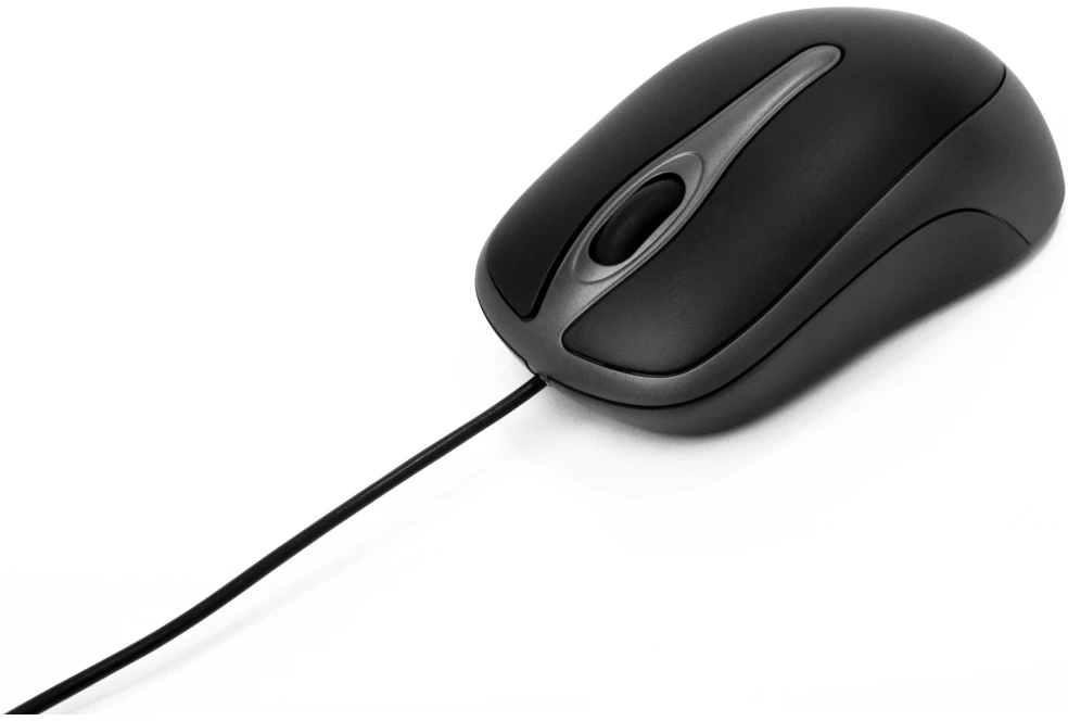Verbatim Optinė pelė USB-A 1000 dpi juodas 49019