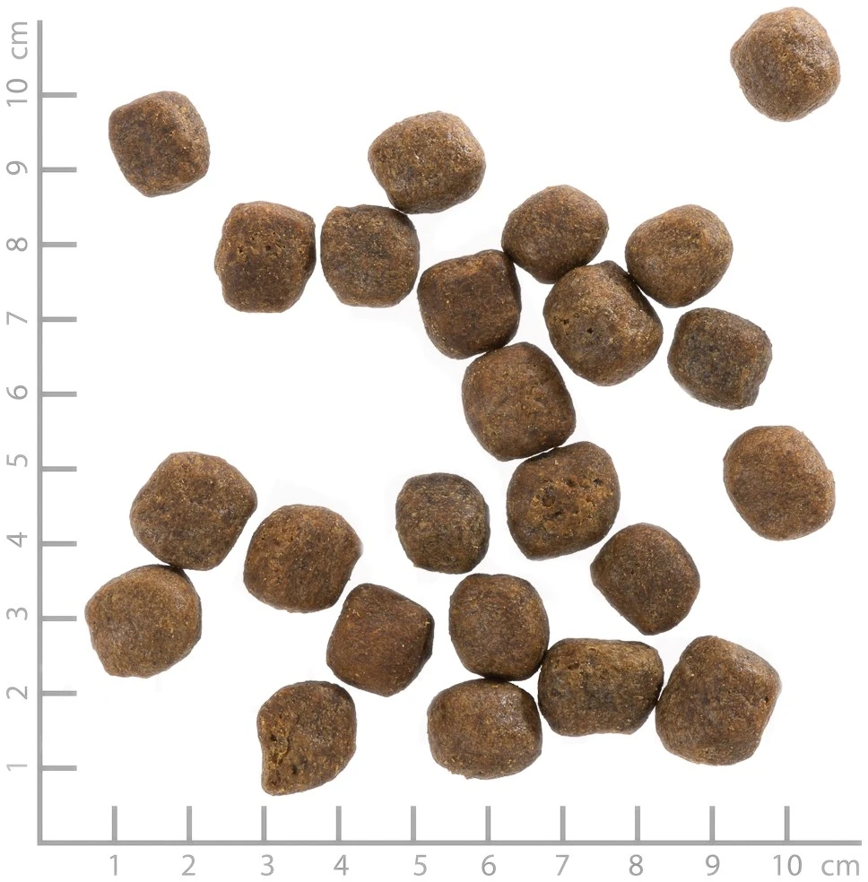 Šunų Maistas - WOLFSBLUT Šaltos Upės Upėtakis Sausas Granulės 12.5kg Be Glitimo