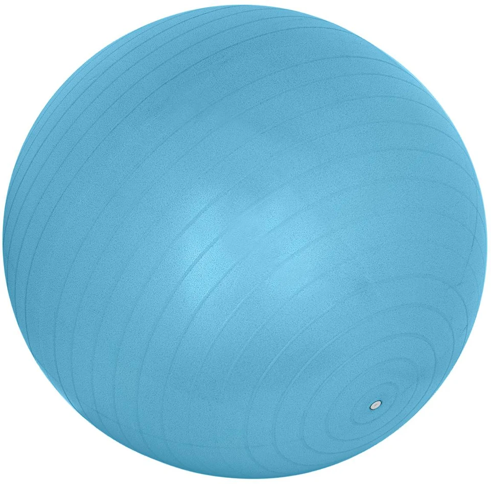 Gimnastikos kamuolys XQMAX 65 cm mėlynas