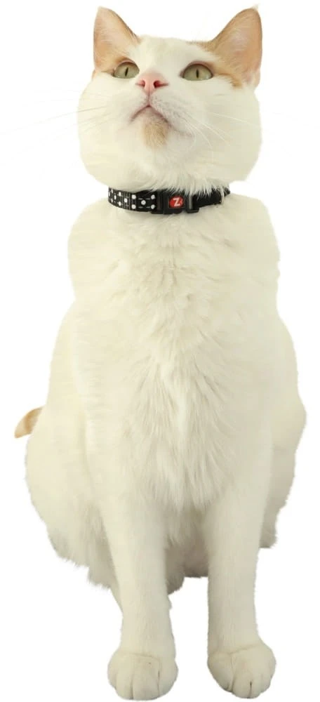 ZOLUX Chatouille juodas - cat collar