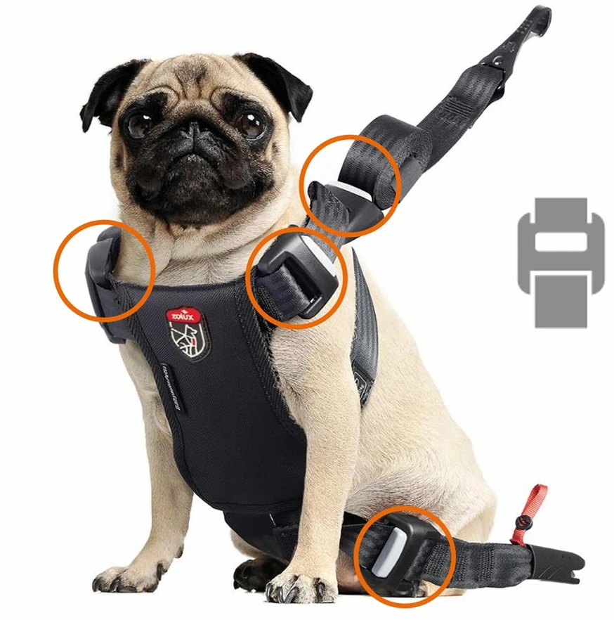 ZOLUX Travel Safe S red - dog harness