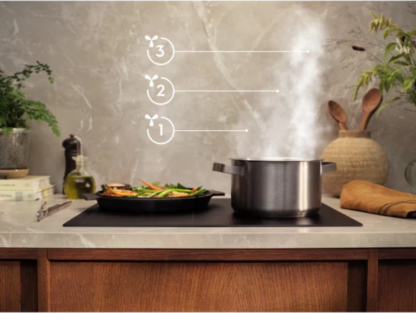Gartraukis Electrolux LFG818W