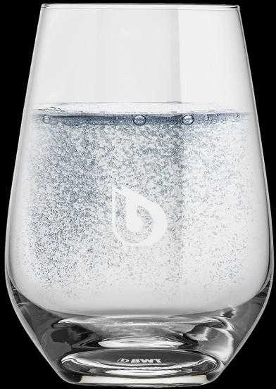Schott Zwiesel BWT stiklinės 300 ml (6 vnt.) 125252403