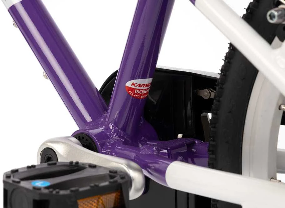Dviratis Karbon Superlight Alu 16 violet