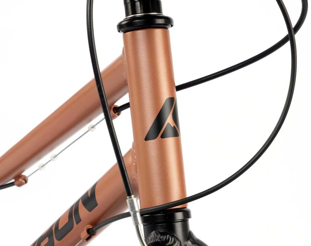 Dviratis Karbon Superlight Alu 20 copper