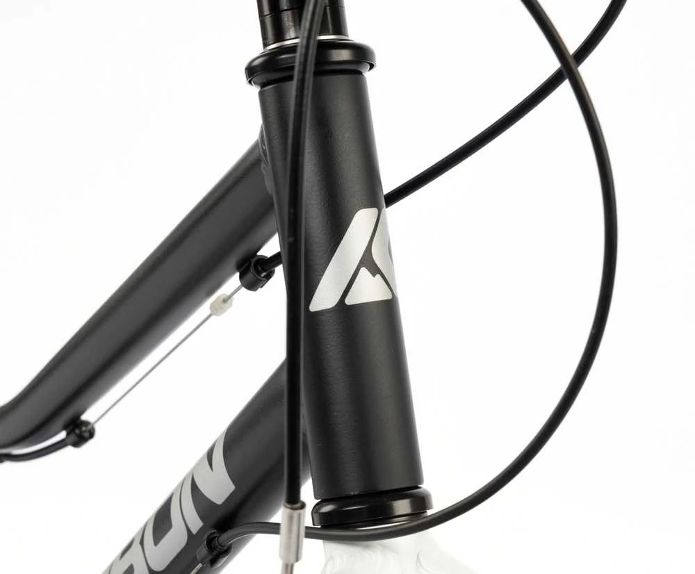 Dviratis Karbon Superlight Alu 20 juodas