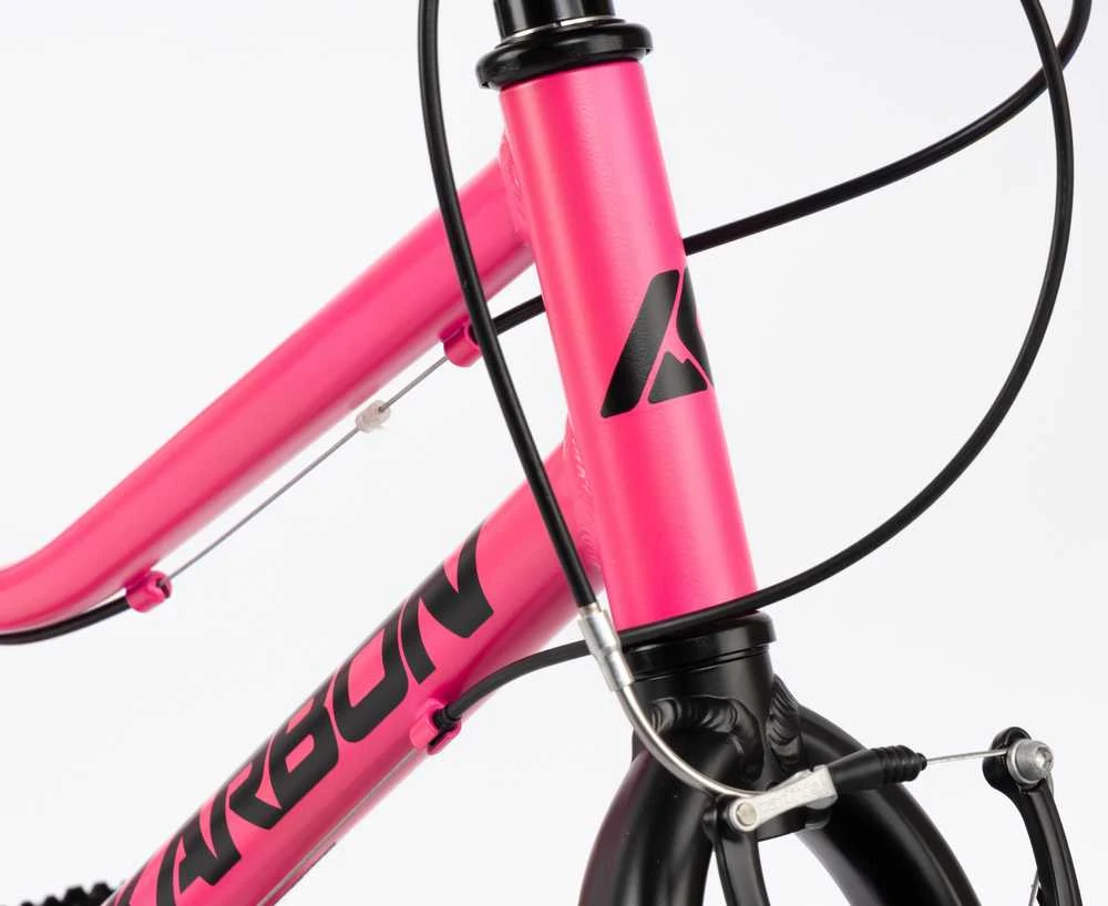 Dviratis Karbon Superlight Alu 20 pink