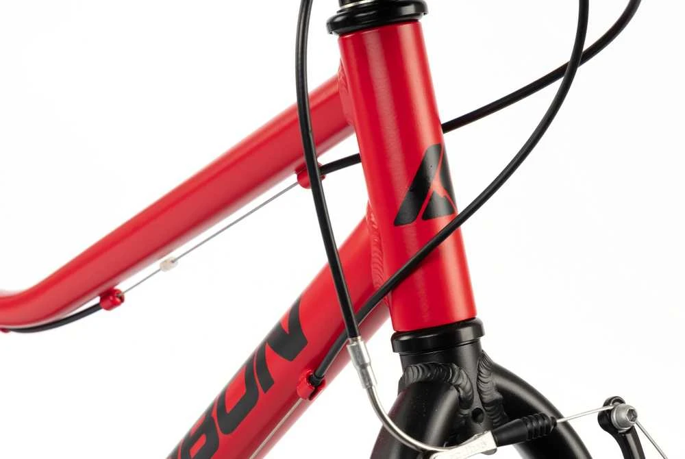 Dviratis Karbon Superlight Alu 24 red