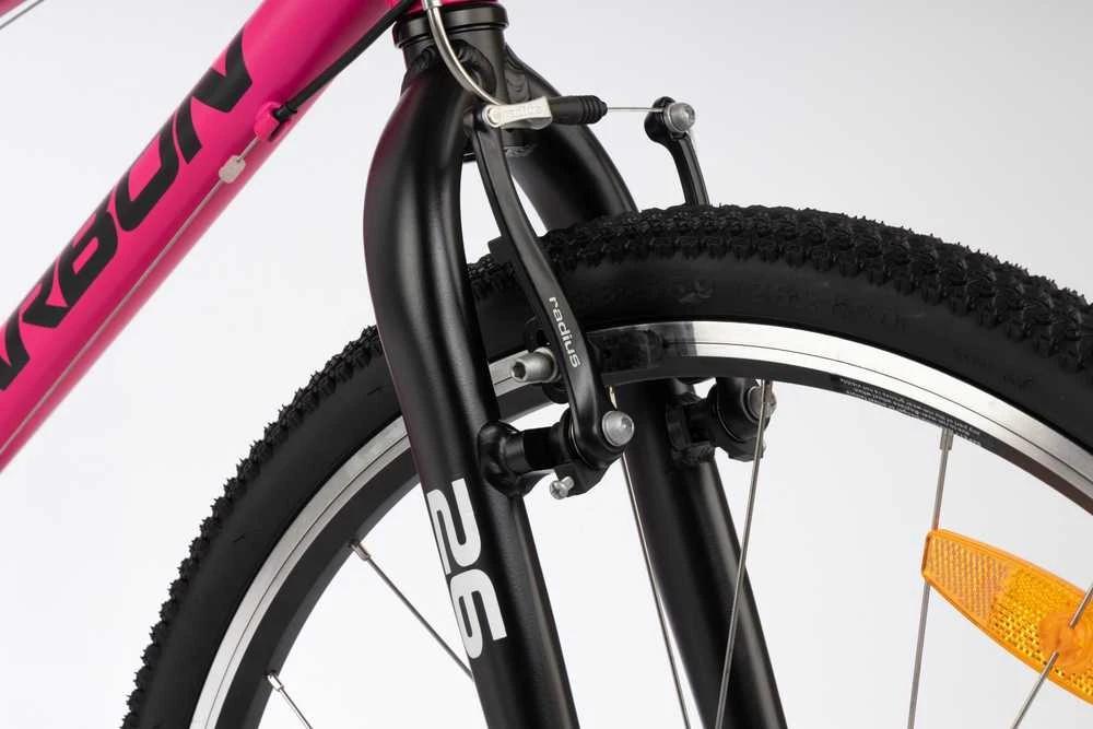 Dviratis Karbon Superlight Alu 26 pink