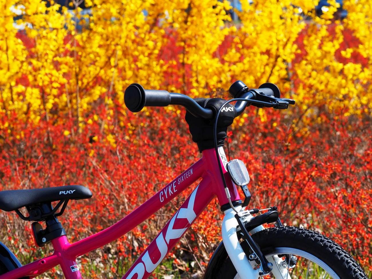 Dviratis PUKY CYKE 16-1 Alu berry-baltas