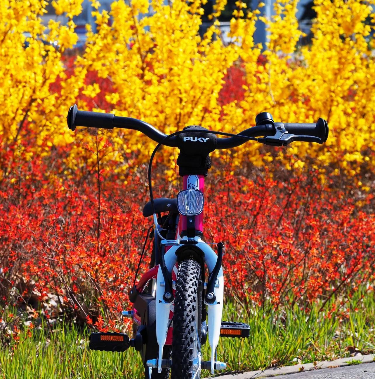 Dviratis PUKY CYKE 16-1 Alu berry-baltas