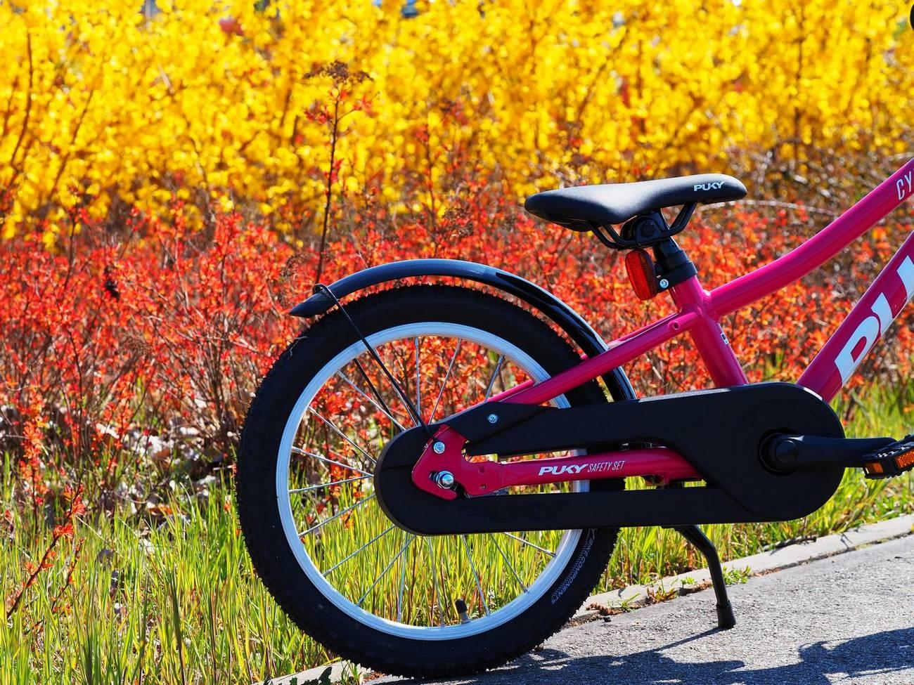 Dviratis PUKY CYKE 16-1 Alu berry-baltas