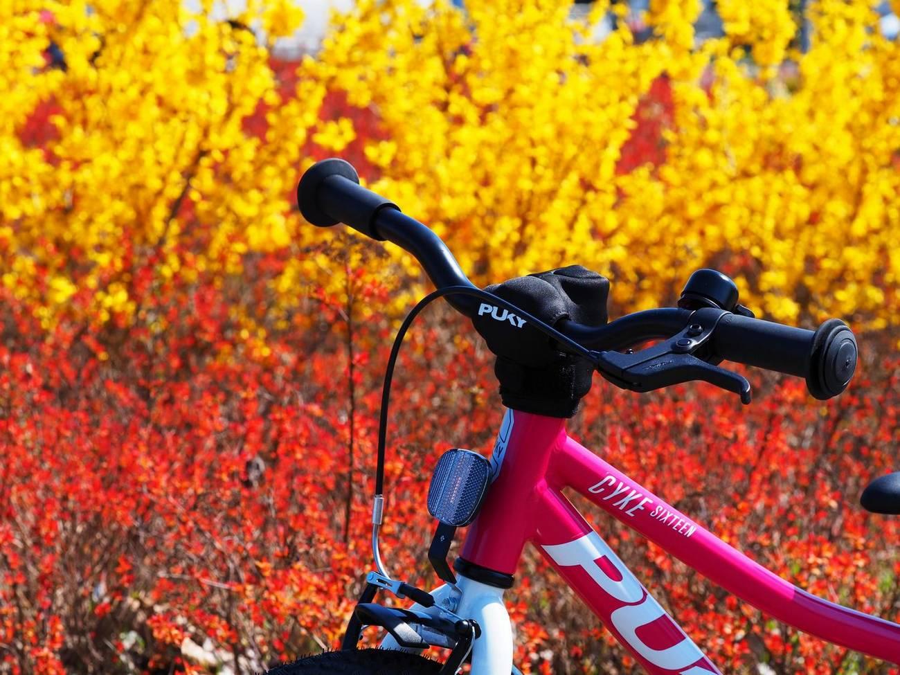 Dviratis PUKY CYKE 16-1 Alu berry-baltas