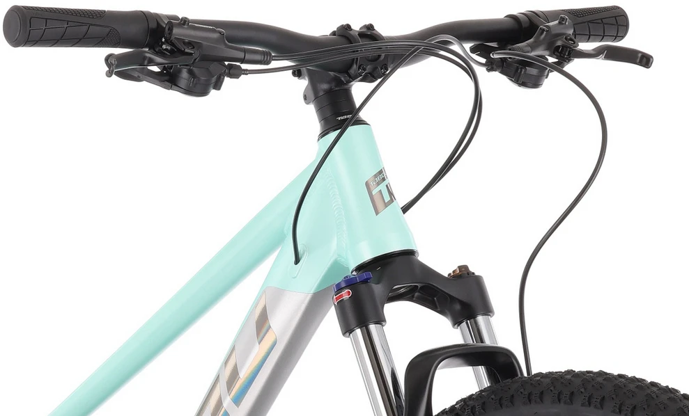 Dviratis Tabou Blade 29 2 W pilkas-mint-L (Dydis: L)