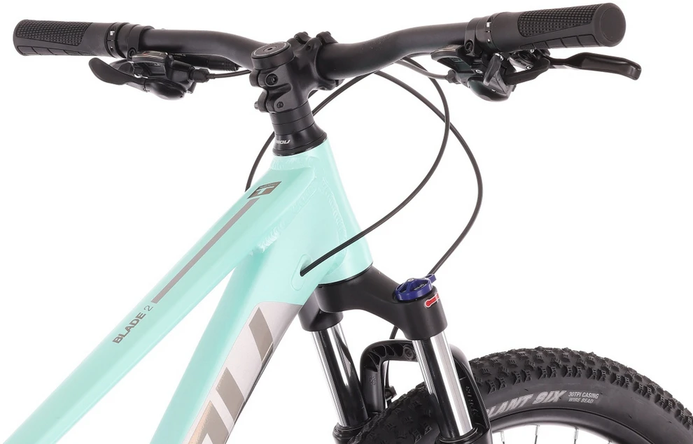 Dviratis Tabou Blade 29 2 W pilkas-mint-M (Dydis: M)