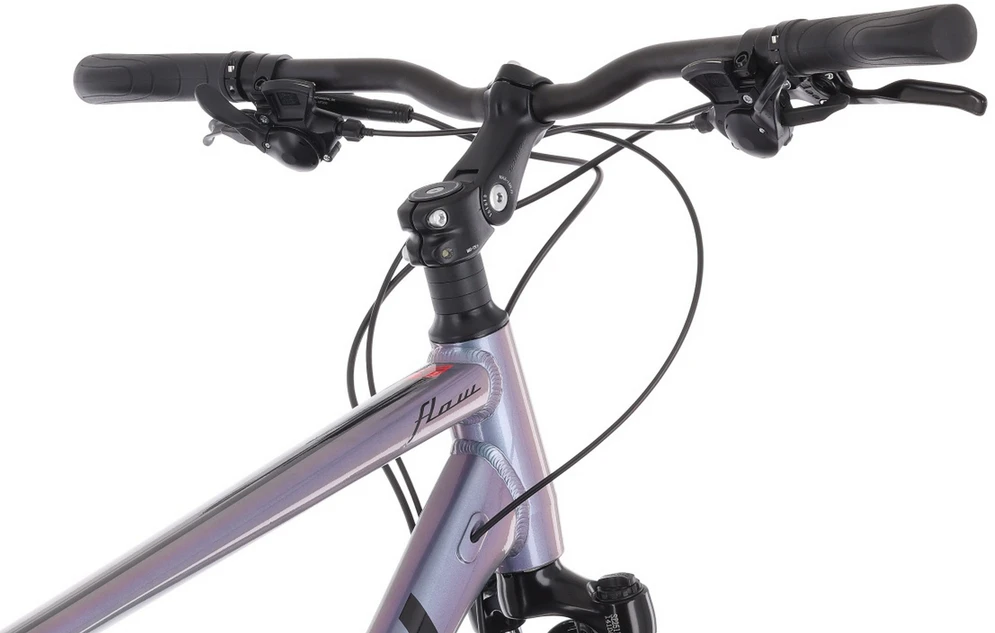 Dviratis Tabou Flow 1 juodas-chameleon-M / 19" (Dydis: M / 19")