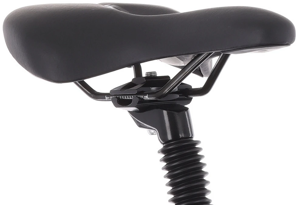 Dviratis Tabou Flow 1 juodas-chameleon-L / 21" (Dydis: L / 21")