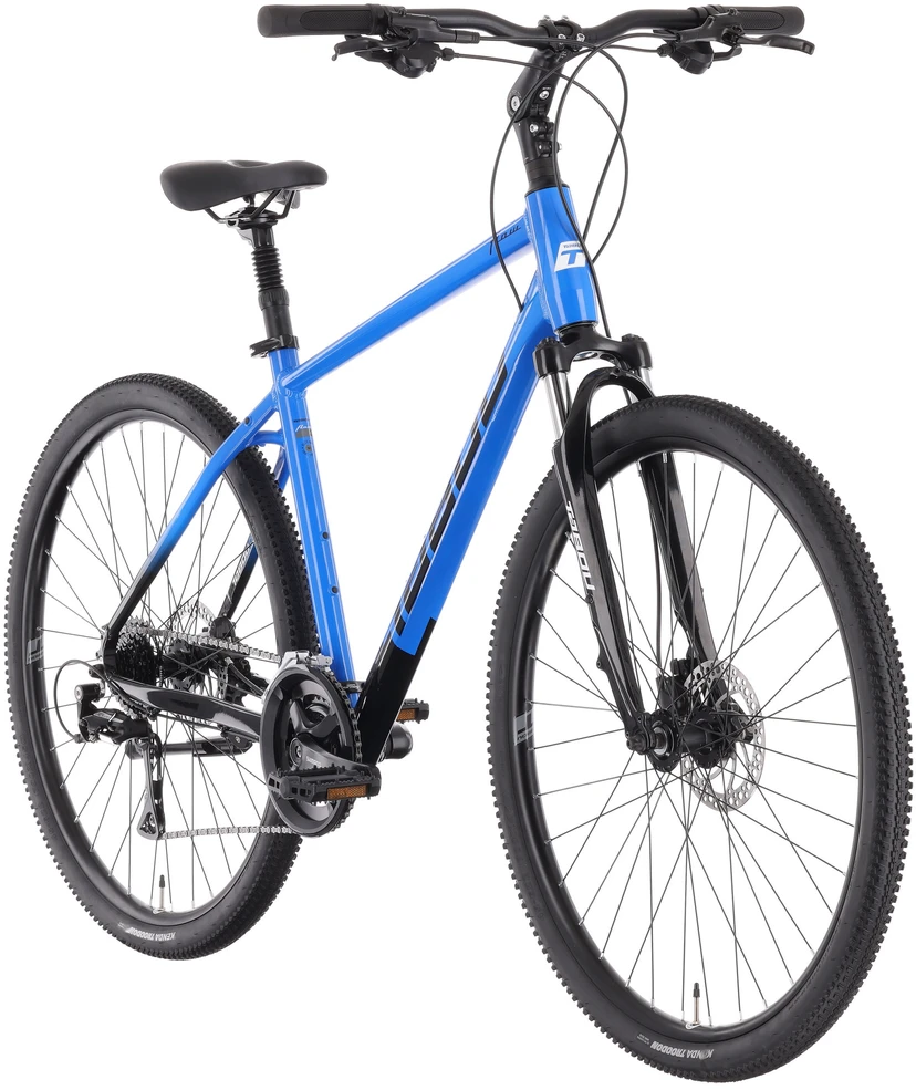 Dviratis Tabou Flow 2 juodas-mėlynas-M / 19" (Dydis: M / 19")