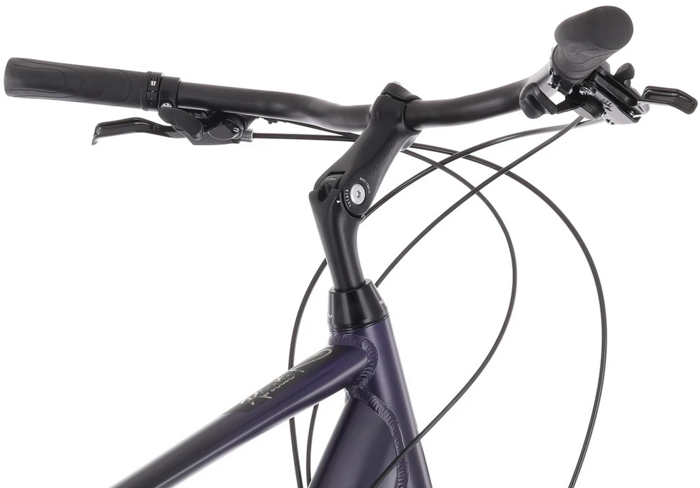 Dviratis Tabou Kinetic 2 juodas-violetinė-L / 21" (Dydis: L / 21")