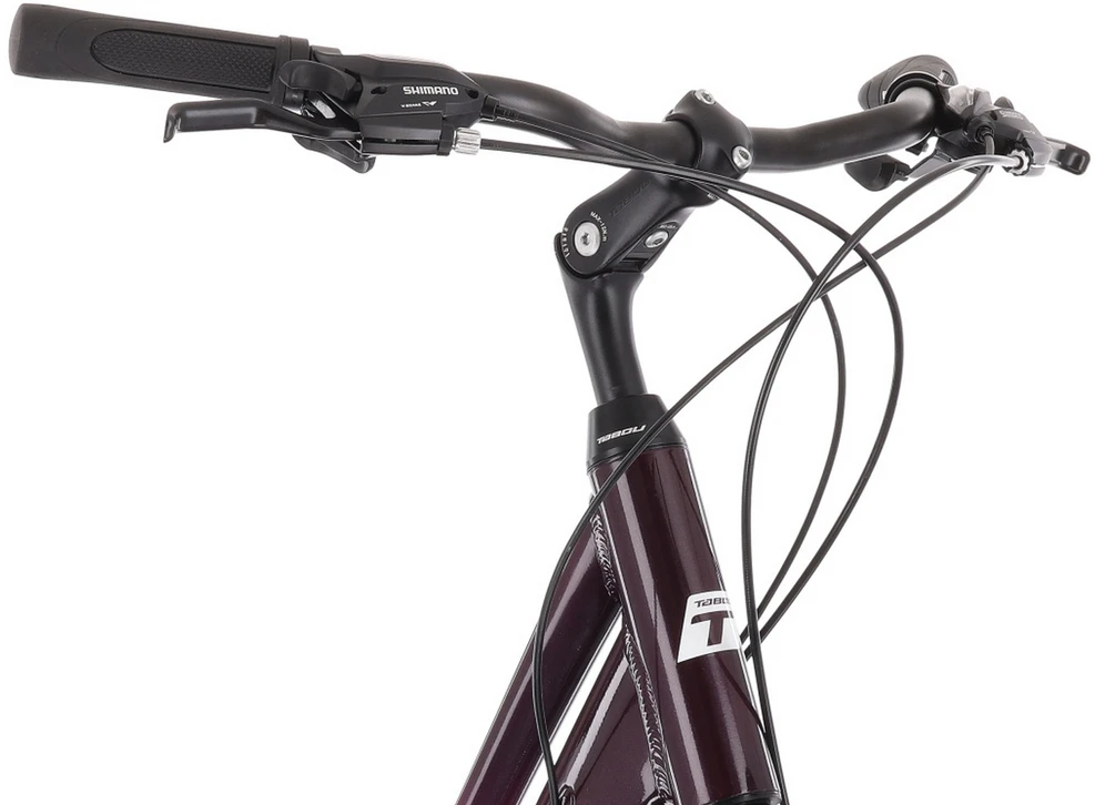 Dviratis Tabou Kinetic 3 W baltas-burgundy-M / 19" (Dydis: M / 19")