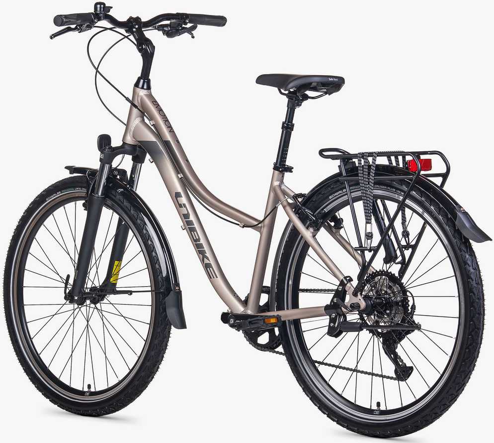 Dviratis Unibike Emotion 27.5 2026 titan-M / 17" (Dydis: M / 17")
