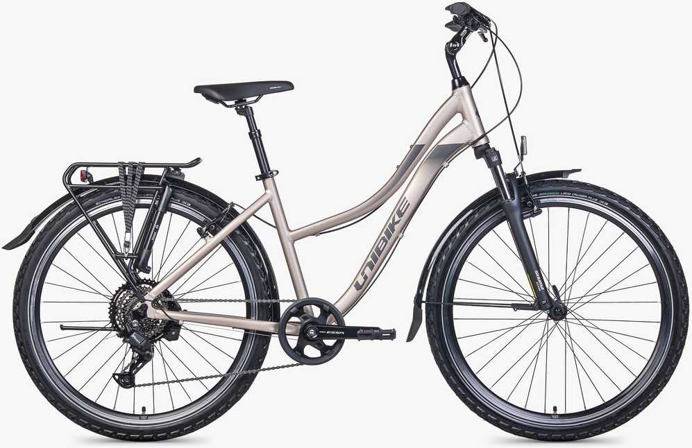 Dviratis Unibike Emotion 27.5 2026 titan-M / 17" (Dydis: M / 17")