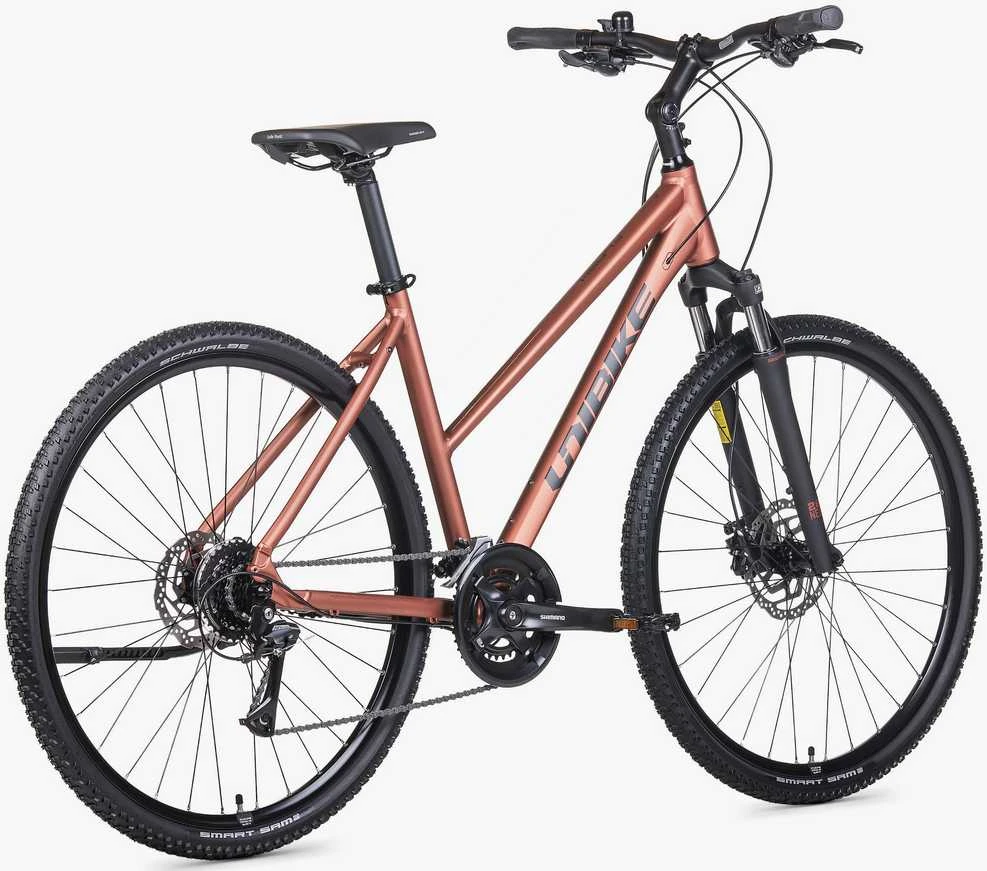 Dviratis Unibike Flash LDS 2026 brandy-XL / 21" (Dydis: XL / 21")