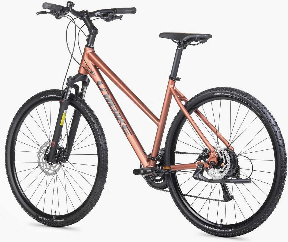 Dviratis Unibike Flash LDS 2026 brandy-XL / 21" (Dydis: XL / 21")