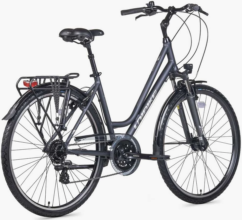 Dviratis Unibike Vision LDS 2026 pilkas-M / 17" (Dydis: M / 17")