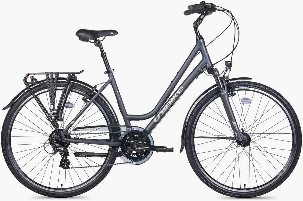 Dviratis Unibike Vision LDS 2026 pilkas-M / 17" (Dydis: M / 17")