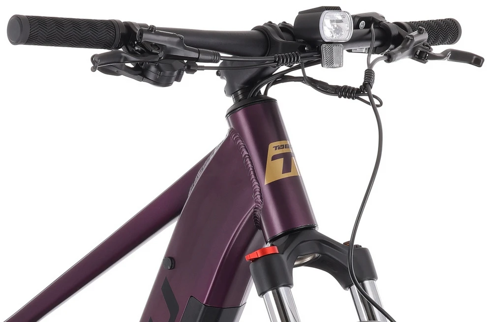Elektrinis dviratis Tabou Blade UP ECO 29 juodas-violetinė-20" (Dydis: 20")