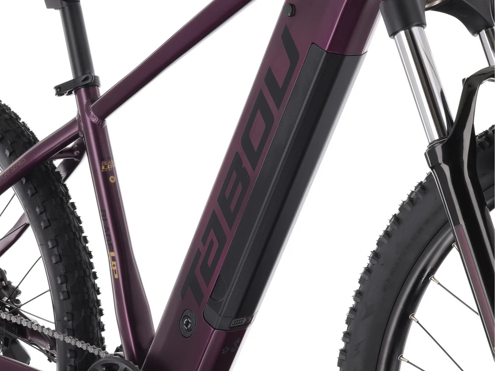 Elektrinis dviratis Tabou Blade UP ECO 29 juodas-violetinė-20" (Dydis: 20")