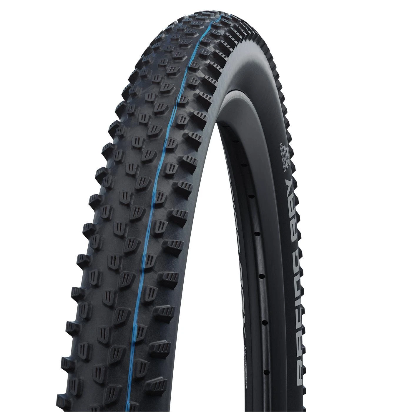 Padanga 29" Schwalbe Racing Ray HS 489 Evo Fold TLE 57-622 / 29x2.25 Super Ground Addix SpeedGrip