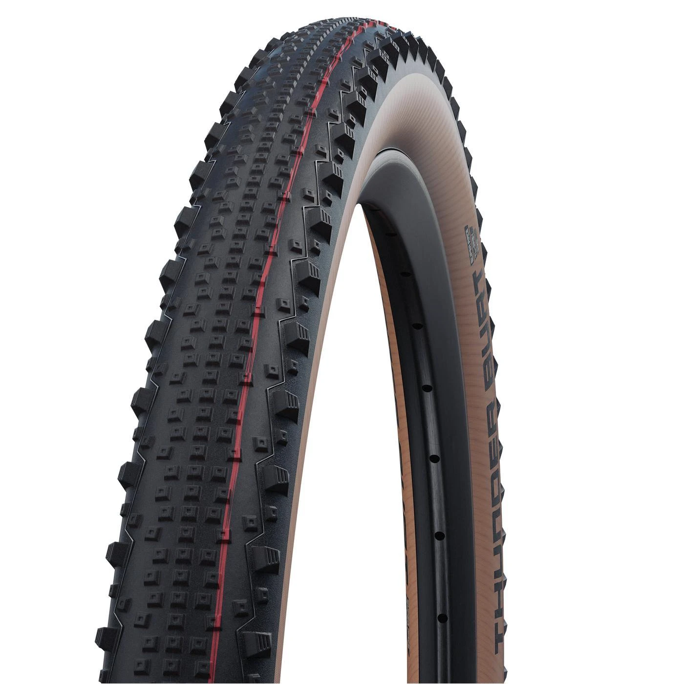Padanga 29" Schwalbe Thunder Burt HS 451 Evo Fold TLE 54-622 / 29x2.10 Super Race Addix Speed