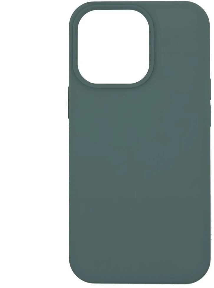 Back Cover Evelatus Samsung Galaxy A55 Premium Soft Touch Silikoninis dėklas Pine Žalias