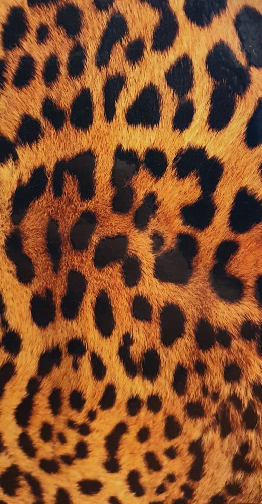 Evelatus Folia ochronna Universali leopardo spalvos plėvelė ekrano pjaustytuvui Leopardo spalvos plėvelė