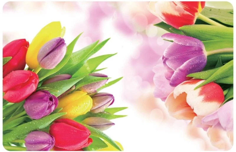 Tulip Asi Collection Galda paliktnis 43 5x28cm tulpe