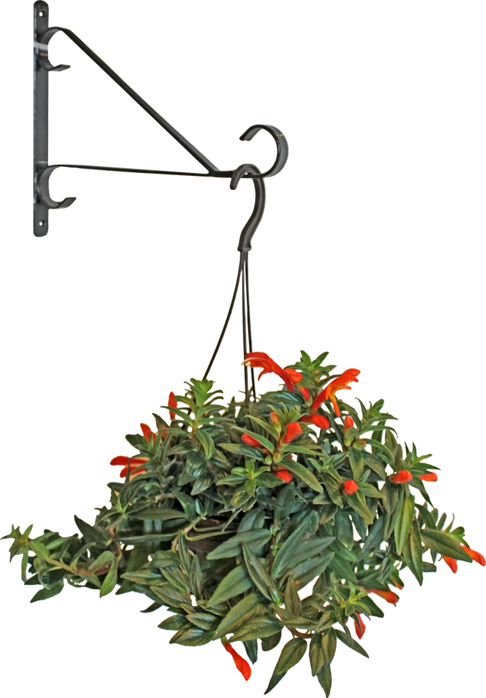 Besk Gėlių vazono laikiklis metalinis 30.5cm