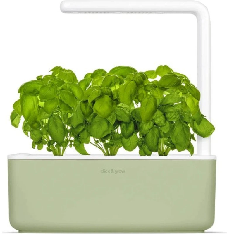 Click Grow „Click and Grow“ – išmaniojo sodo 3 pradinis rinkinys (spalva: šalavijų) (SGS13UNI)
