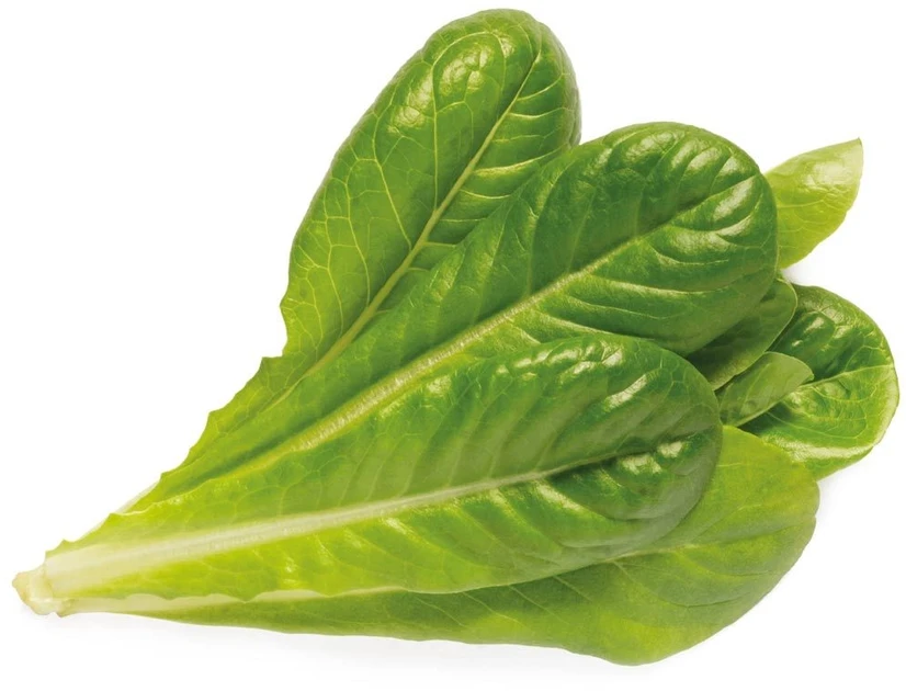Click & Grow 3 vnt. papildymas - romėniškų salotų sėklos
