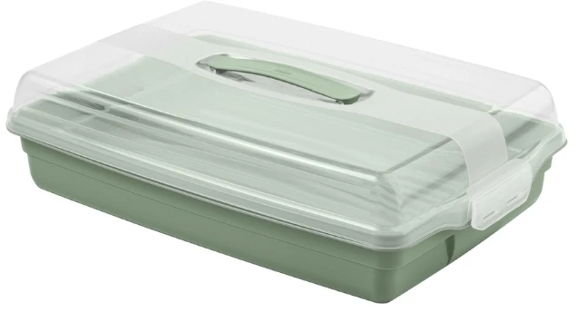 Curver torto transportavimo dėžė stačiakampė 45x29.5x11.1cm žalia