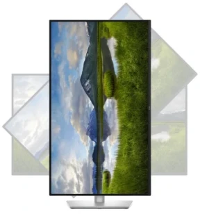 Monitorius Dell P3225QE 32 " IPS 4K UHD 16:9 100 Hz 5 ms 3840 x 2160 pikselių 350 cd/m² HDMI jungtys quantity 1 Garantij
