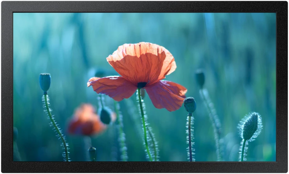 Monitorius SAMSUNG 13" FHD, 16:9, QB13C, 500 NITS, 16/7 SOC WIFI
