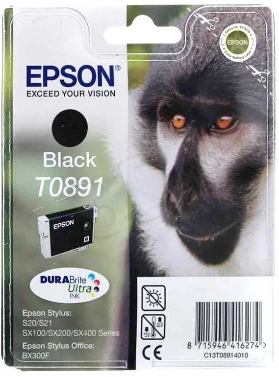 EPSON T0891 juodos spalvas rašalinė