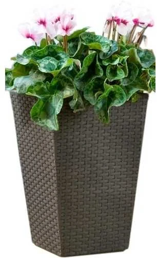 Curver Rattan Planter S 23,6 L ruda 228977