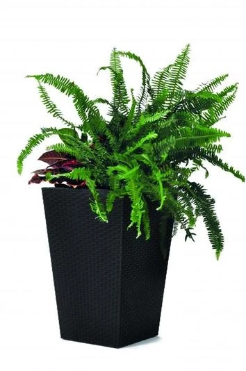 Curver Rattan Planter S 23,6 L antracytowa 228978