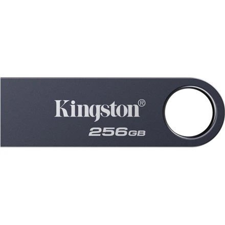 „Kingston“ USB atmintinė | „DataTraveler SE9 G3“ | 256 GB | USB A tipo | Pilkas
