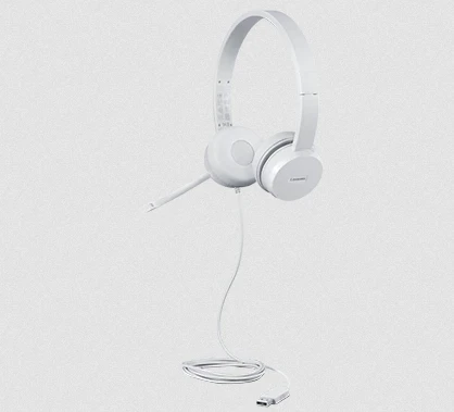 Lenovo GXD1E71385 ausinės su laidu Wrist Calls/Music USB Type-A Pilkas